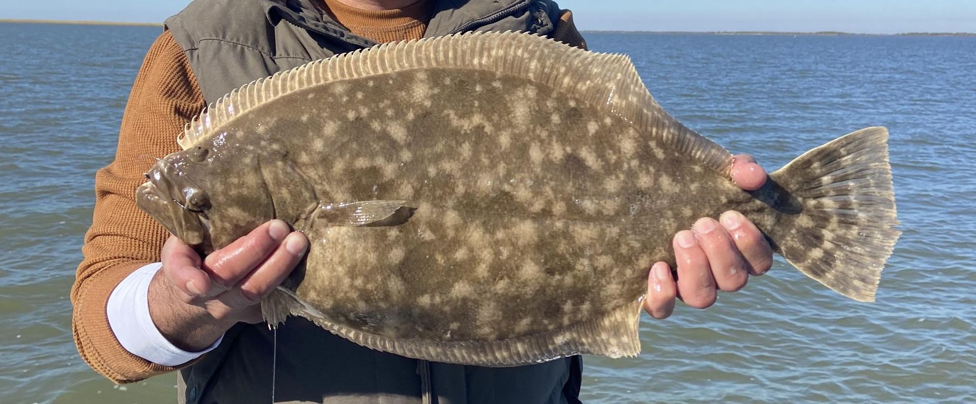 Flounder caught inshore