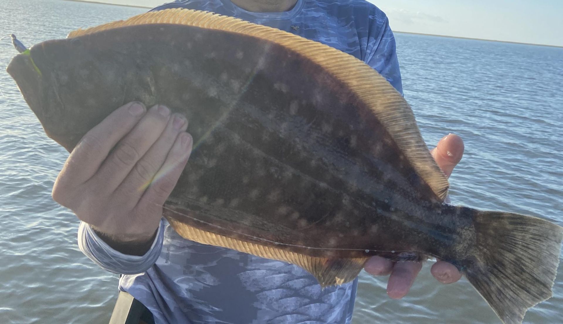 Redfish on the Texas coast